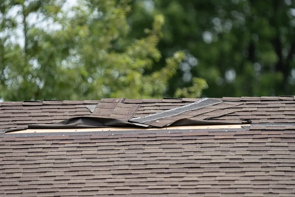 Roof shingles damaged by a storm.