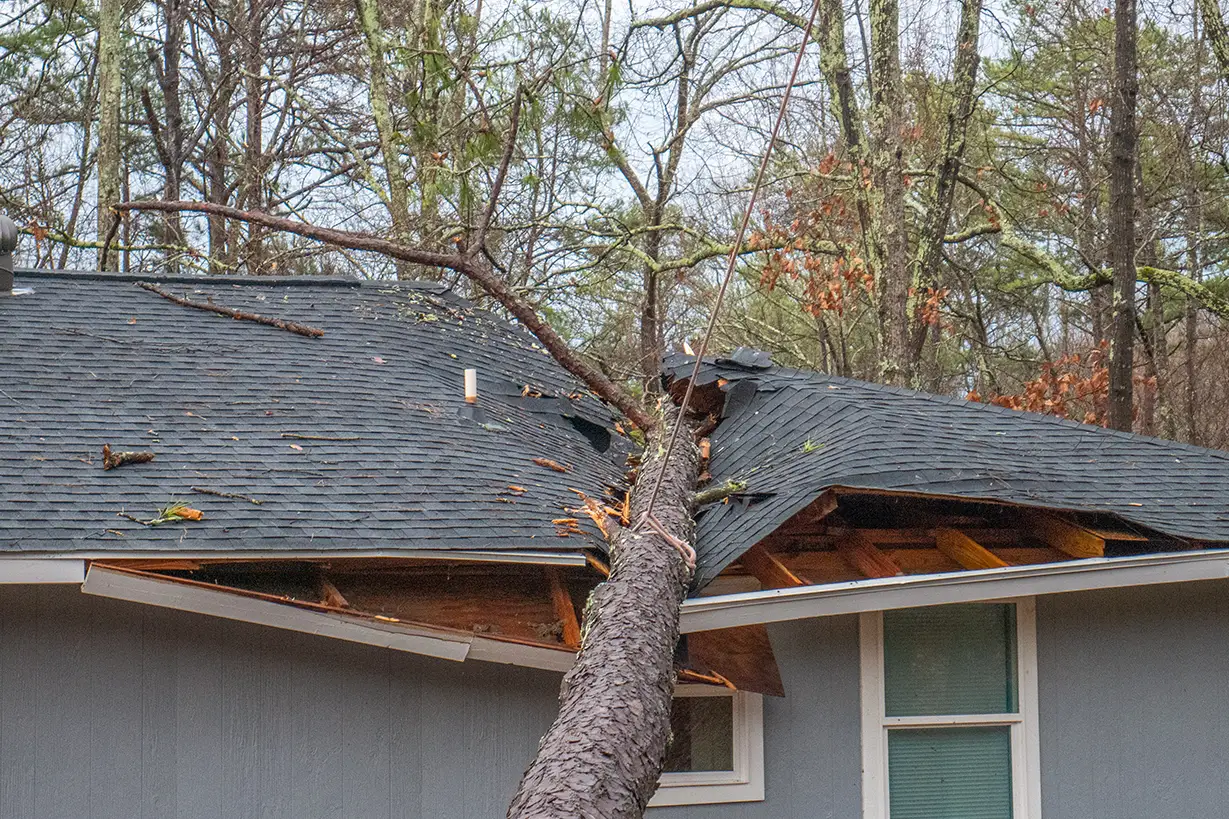 Roof damaged by a tree that fell during a storm.