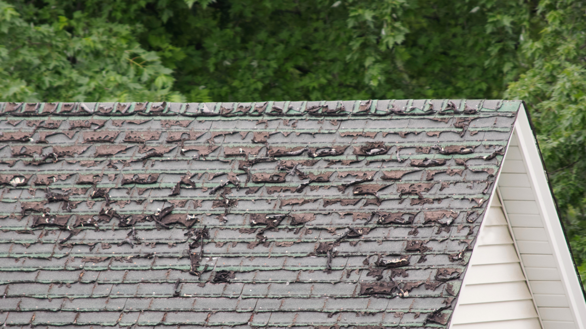 bad roof with leak